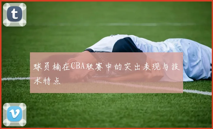 球员楠在CBA联赛中的突出表现与技术特点