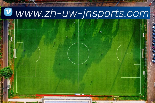 江南体育APP下载发展历程